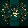 user8867243243008