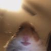 lisa_5549