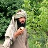 shamsarahmanasrar