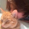 oliver_rawliver
