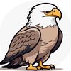 eaglecutt