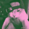 bangdimssofc