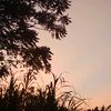 lebriansyah