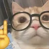 mamamo.ly
