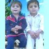 anwarshah6649