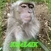 kiseL4IK