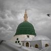 سگ میراں 🕊️