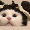 nhiiiz72