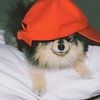 10_yeontan