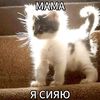 ilovefish_7