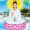 lam.vo762