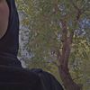 shaymaa.mohammed24