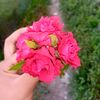 li.ma__8