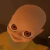 nhinconcac00001