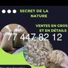 user6816328172675