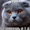 dfpfpfpf