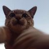 wow_54278