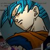 s.n.goku