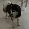gsjdjdhejeje