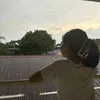 damn.not_al