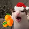 tiktok.wellysam