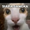 el_yaping20