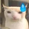 jinhwolikeanything
