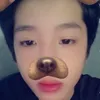 v.vn.h.v