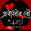 user6394440051947