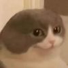 mrcilelol