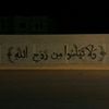 im_xx8