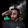badr13v