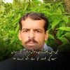 tajaml.shazad