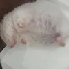 mukbang.nh.ngo