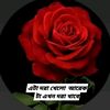 nur.uddin756