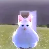 mrawesomedud