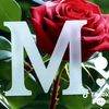 user6103178512162