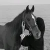 shahzanan413