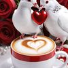 user7411023313618