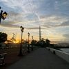 ntya_rj
