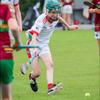 tadhg.oshea11