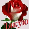 user3516782981421