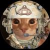 conquest411