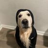txsbrody