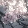 .iiaaaaa001