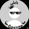 pm_gost