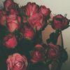sysyqueen428