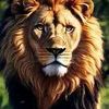 noureddine.lakamo