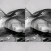 nanaa_n4
