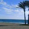 pol_martin6